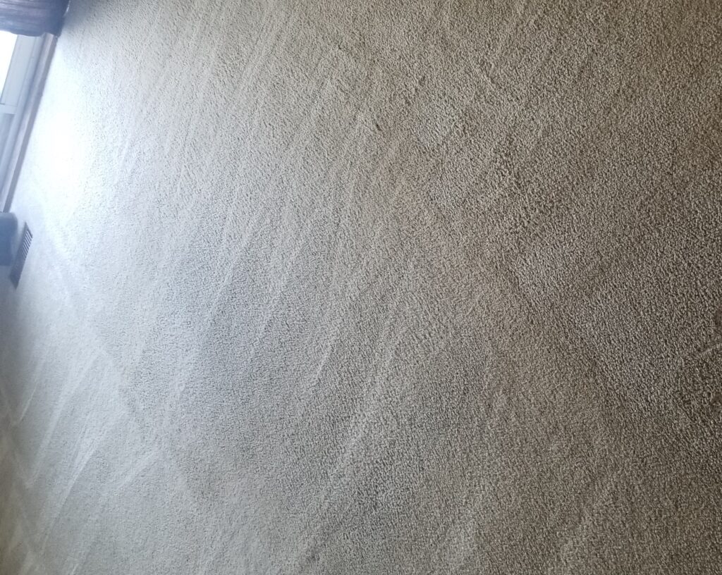 Vacuumed carpet